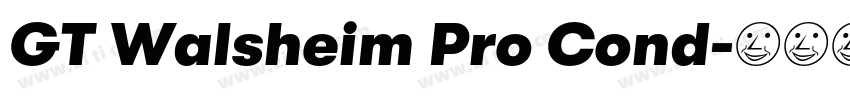 GT Walsheim Pro Cond字体转换